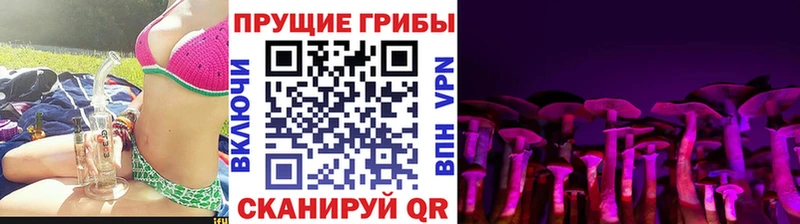 Псилоцибиновые грибы мицелий  Купить закладки  Юрюзань 